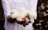 Organic Cotton – Everything You Need to Know